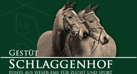 Gestüt Schlaggenhof
